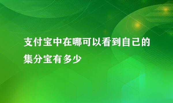 支付宝中在哪可以看到自己的集分宝有多少