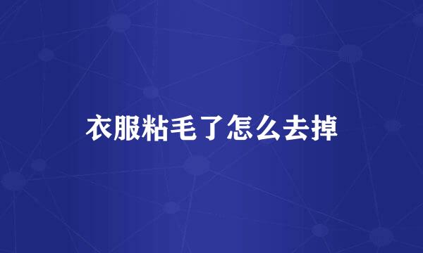 衣服粘毛了怎么去掉