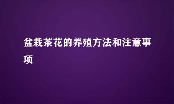 盆栽茶花的养殖方法和注意事项