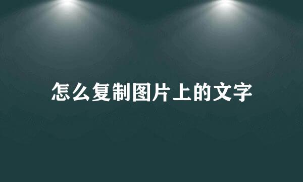 怎么复制图片上的文字