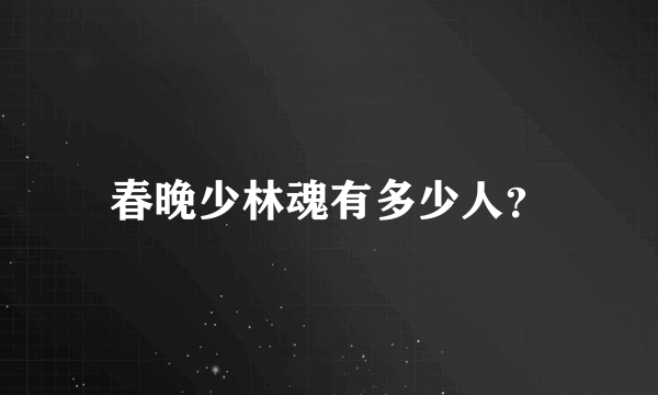 春晚少林魂有多少人?